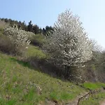 Landgasthof Simon