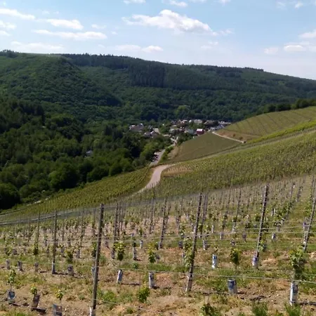 Landgasthof Simon