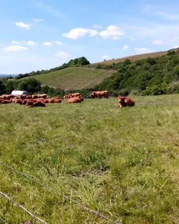 Landgasthof Simon 2*