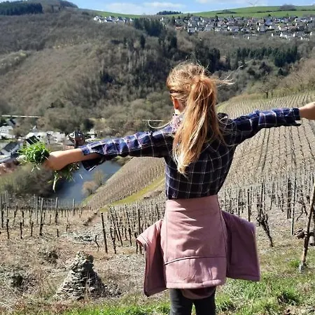 Ξενοδοχείο Landgasthof Simon 2*