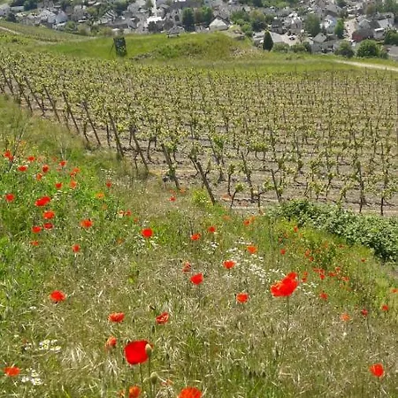 Landgasthof Simon Ξενοδοχείο Waldrach