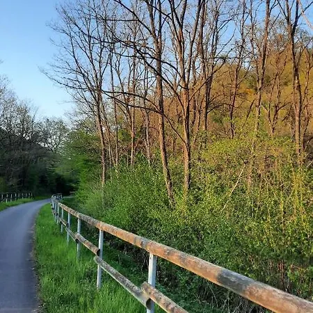 Ξενοδοχείο Landgasthof Simon 2*