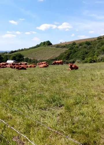 Landgasthof Simon 2*