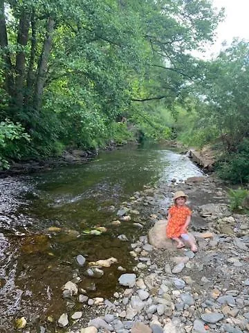 호텔 Landgasthof Simon 2*