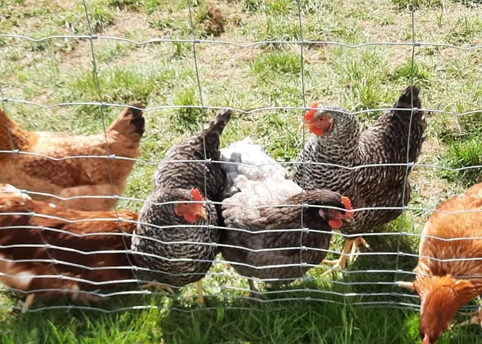 Landgasthof Simon Waldrach