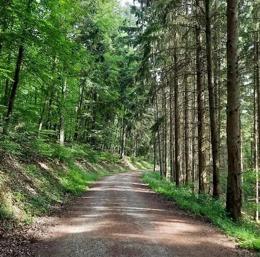 Landgasthof Simon