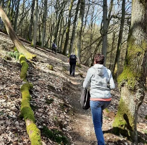 호텔 Landgasthof Simon 불드라크