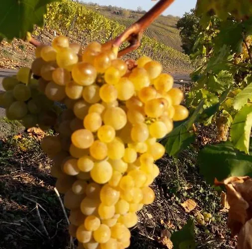 Landgasthof Simon 2*