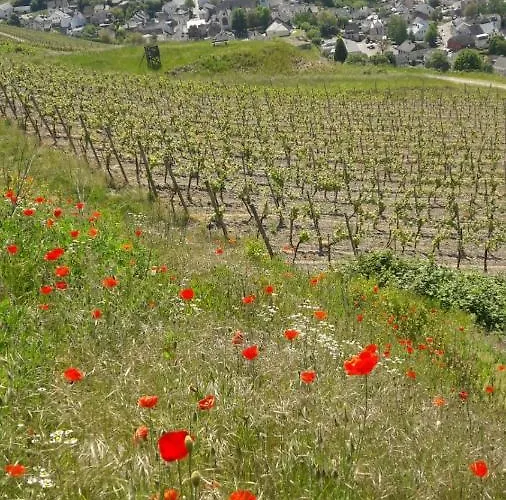 Landgasthof Simon Hotell Waldrach