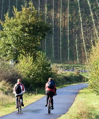 Landgasthof Simon 2* Waldrach