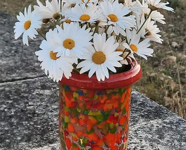 Landgasthof Simon Waldrach