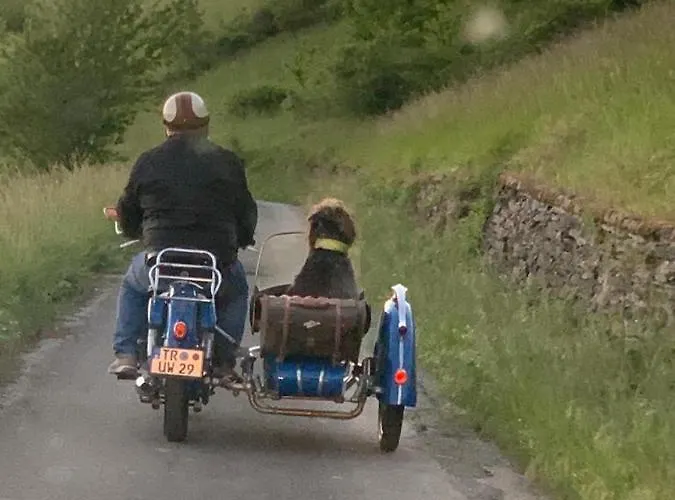 호텔 Landgasthof Simon 불드라크