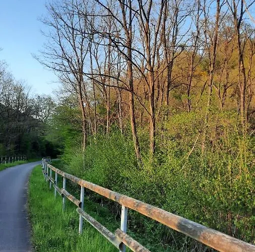 호텔 Landgasthof Simon 2*